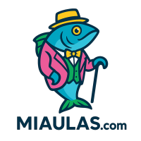 ticpract3.milaulas.com
